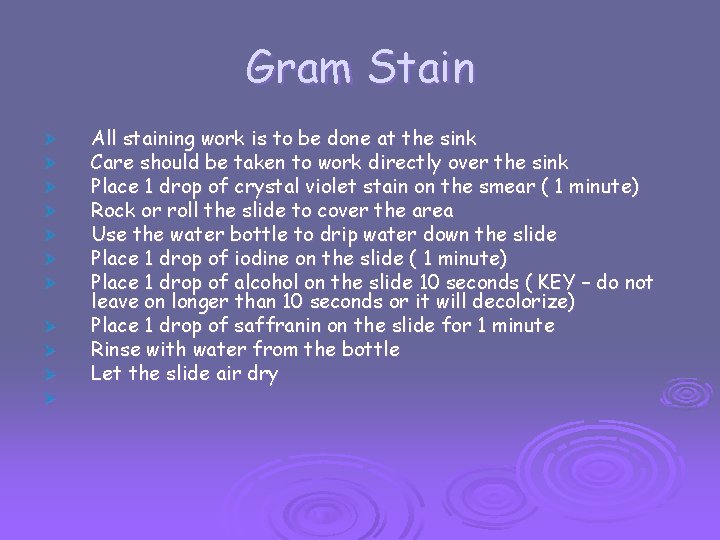 Gram Stain Ø Ø Ø All staining work is to be done at the