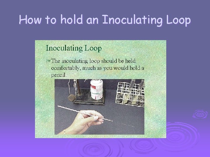 How to hold an Inoculating Loop 