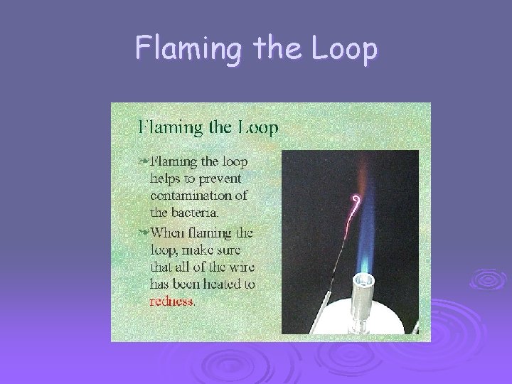 Flaming the Loop 