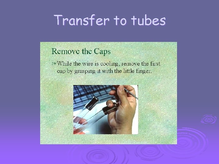 Transfer to tubes 
