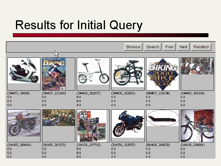 Results for Initial Query 