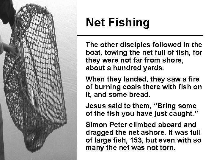 Net Fishing The other disciples followed in the boat, towing the net full of
