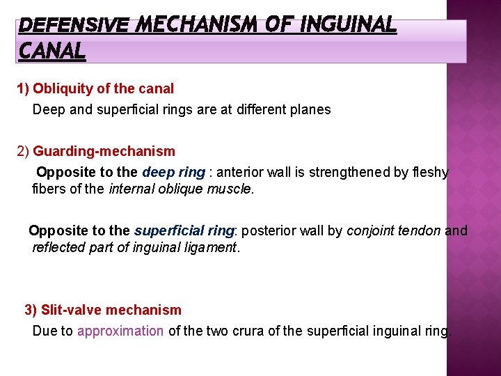 DEFENSIVE MECHANISM OF INGUINAL CANAL 1) Obliquity of the canal Deep and superficial rings