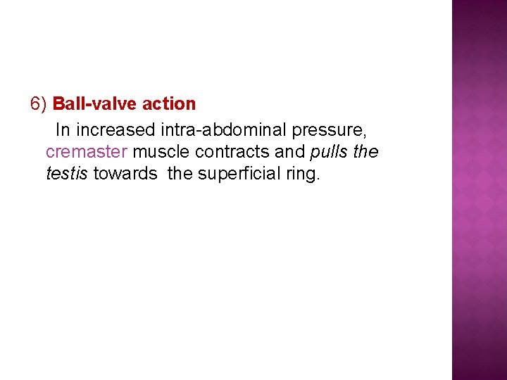 6) Ball-valve action In increased intra-abdominal pressure, cremaster muscle contracts and pulls the testis