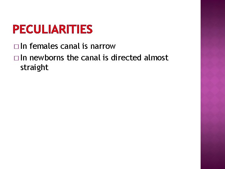 PECULIARITIES � In females canal is narrow � In newborns the canal is directed