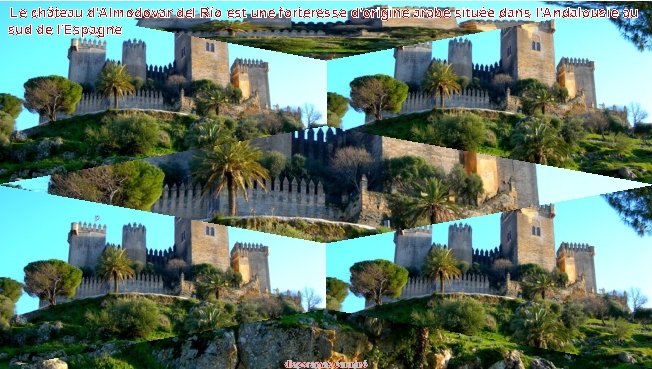 Le château d'Almodovar del Río est une forteresse d'origine arabe située dans l'Andalousie au