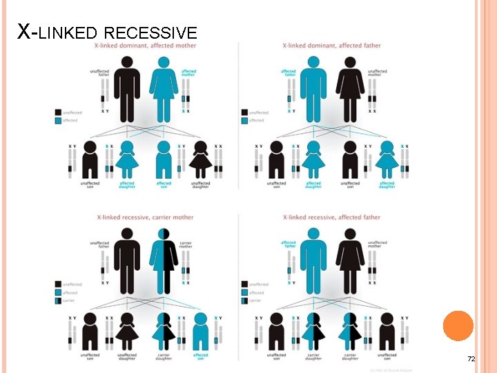 X-LINKED RECESSIVE 72 