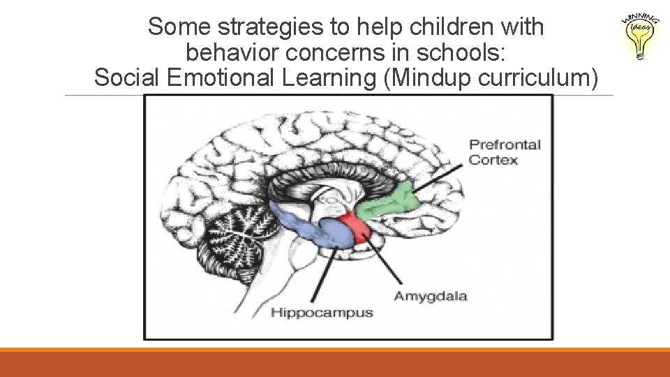 Some strategies to help children with behavior concerns in schools: Social Emotional Learning (Mindup