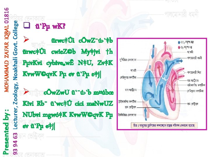 93 94 63 Lecturer, Zoology, Noakhali Govt. College MOHAMMAD ZAFAR IQBAL 01816 Presented by