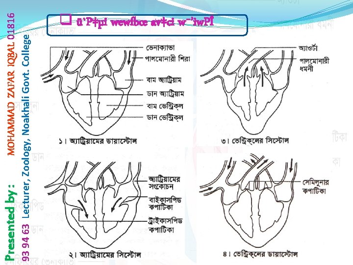 MOHAMMAD ZAFAR IQBAL 01816 93 94 63 Lecturer, Zoology, Noakhali Govt. College Presented by