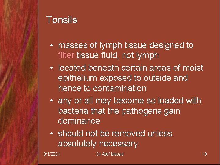 Tonsils • masses of lymph tissue designed to filter tissue fluid, not lymph •