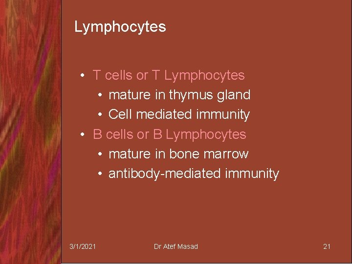 Lymphocytes • T cells or T Lymphocytes • mature in thymus gland • Cell