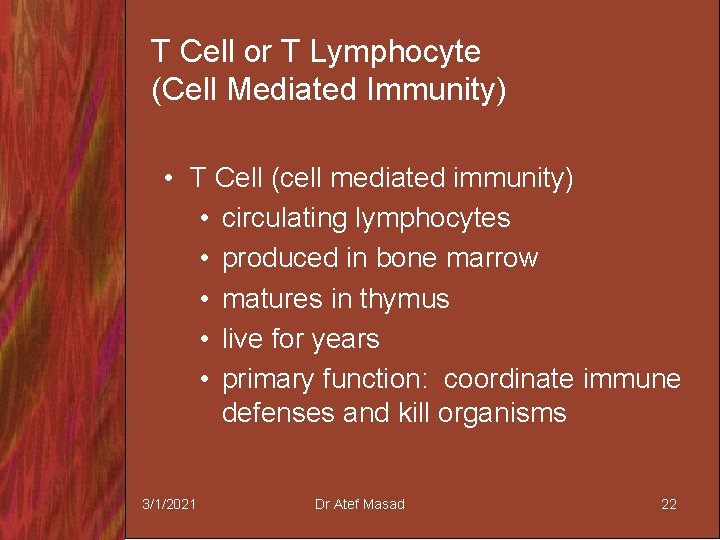 T Cell or T Lymphocyte (Cell Mediated Immunity) • T Cell (cell mediated immunity)