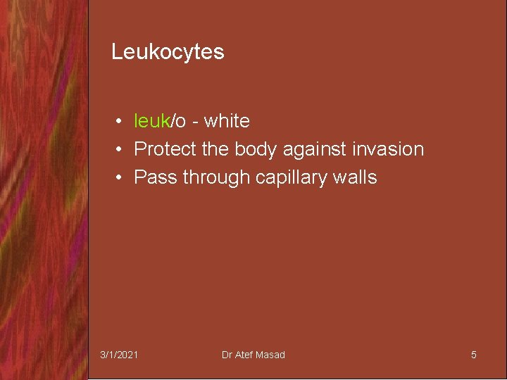 Leukocytes • leuk/o - white • Protect the body against invasion • Pass through