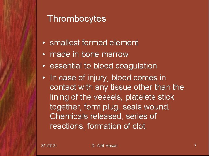 Thrombocytes • • smallest formed element made in bone marrow essential to blood coagulation