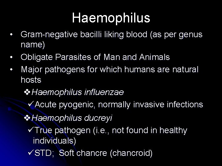 Haemophilus • Gram-negative bacilli liking blood (as per genus name) • Obligate Parasites of Haemophilus • Gram-negative bacilli liking blood (as per genus name) • Obligate Parasites of