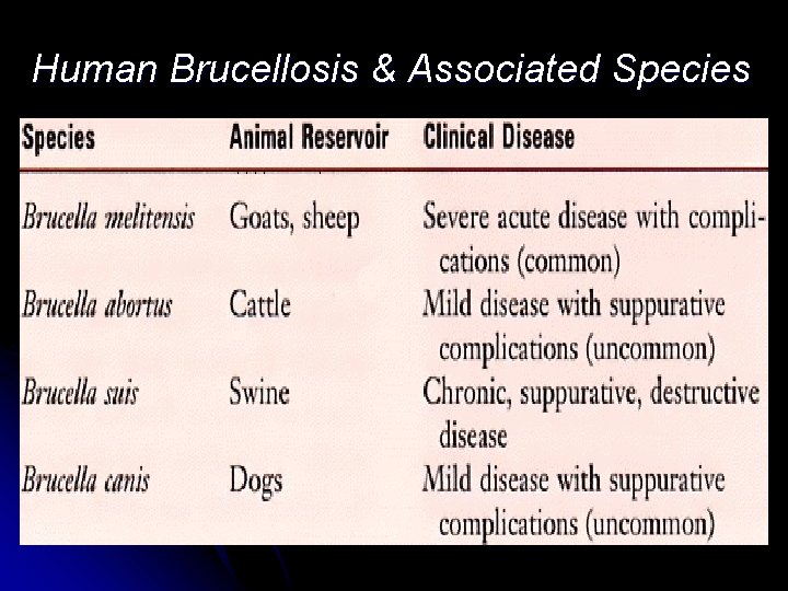Human Brucellosis & Associated Species Human Brucellosis & Associated Species