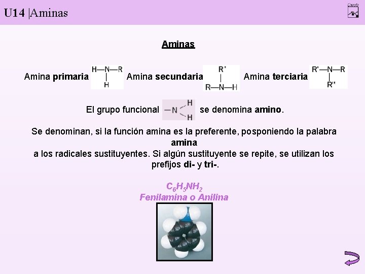 U 14 |Aminas Amina primaria Amina secundaria El grupo funcional Amina terciaria se denomina