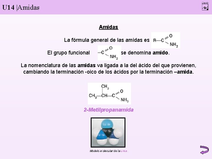 U 14 |Amidas La fórmula general de las amidas es. El grupo funcional se