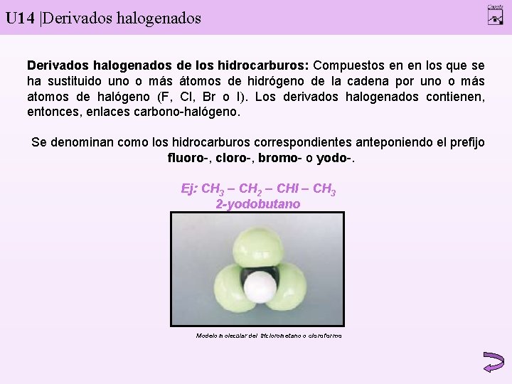 U 14 |Derivados halogenados de los hidrocarburos: Compuestos en en los que se ha