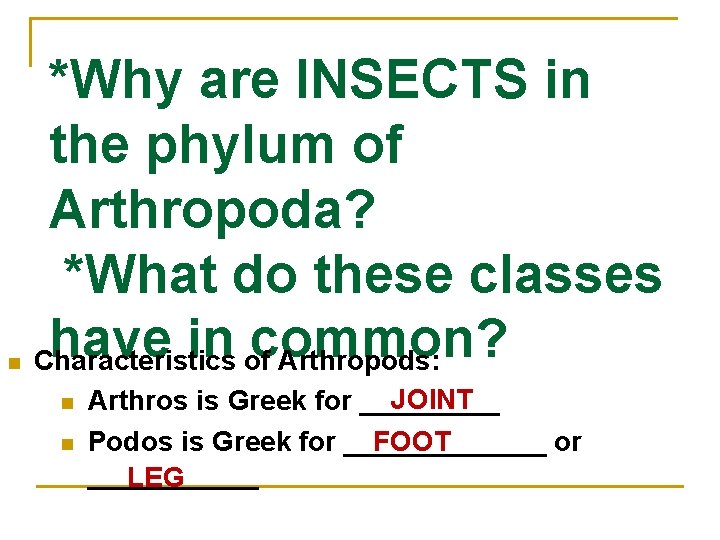 n *Why are INSECTS in the phylum of Arthropoda? *What do these classes have