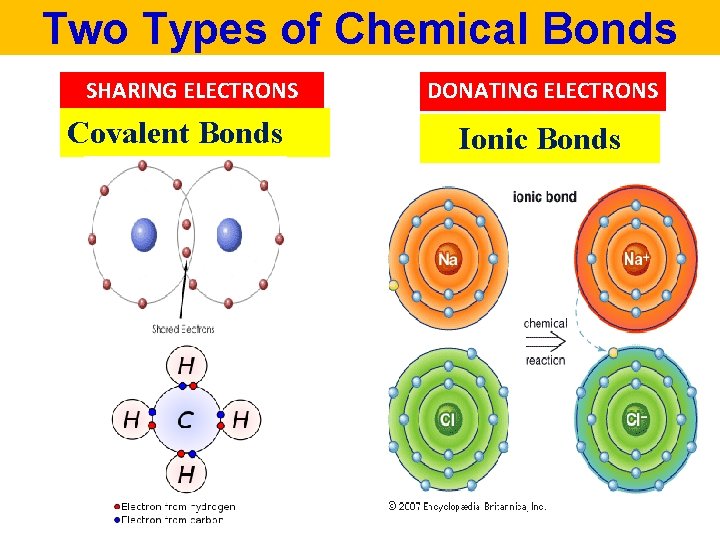 Two Types of Chemical Bonds SHARING ELECTRONS Covalent Bonds DONATING ELECTRONS Ionic Bonds 
