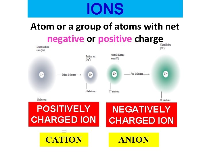 IONS Atom or a group of atoms with net negative or positive charge POSITIVELY