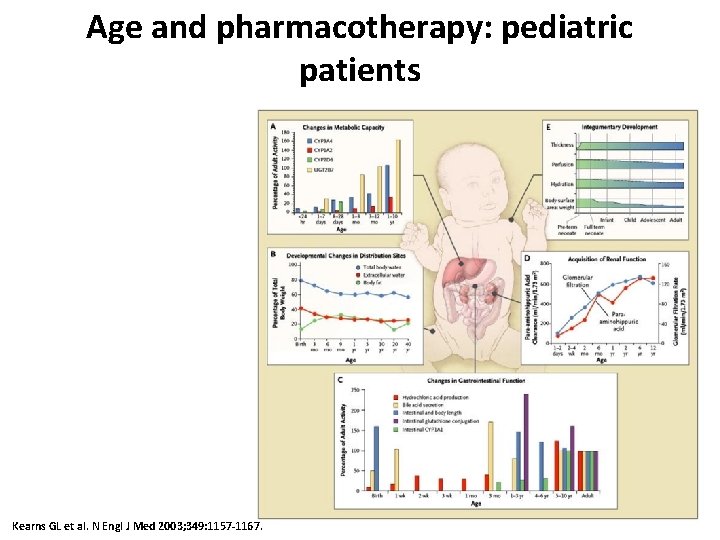 Age and pharmacotherapy: pediatric patients Kearns GL et al. N Engl J Med 2003;