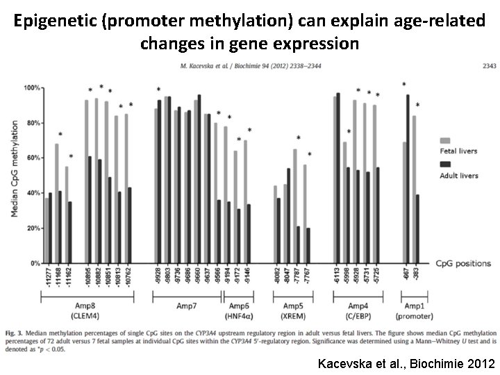 Epigenetic (promoter methylation) can explain age-related changes in gene expression Kacevska et al. ,