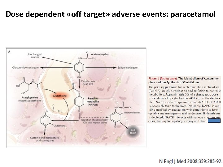 Dose dependent «off target» adverse events: paracetamol 