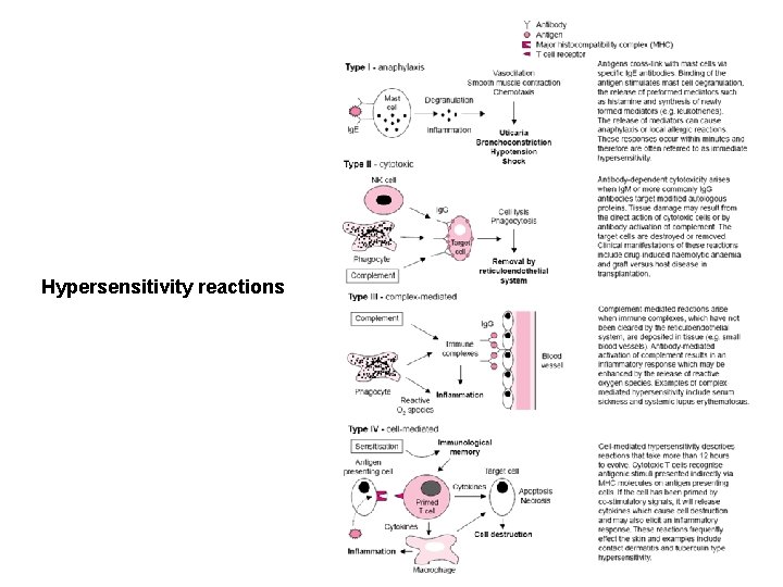 Hypersensitivity reactions 