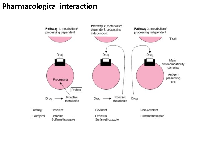 Pharmacological interaction 