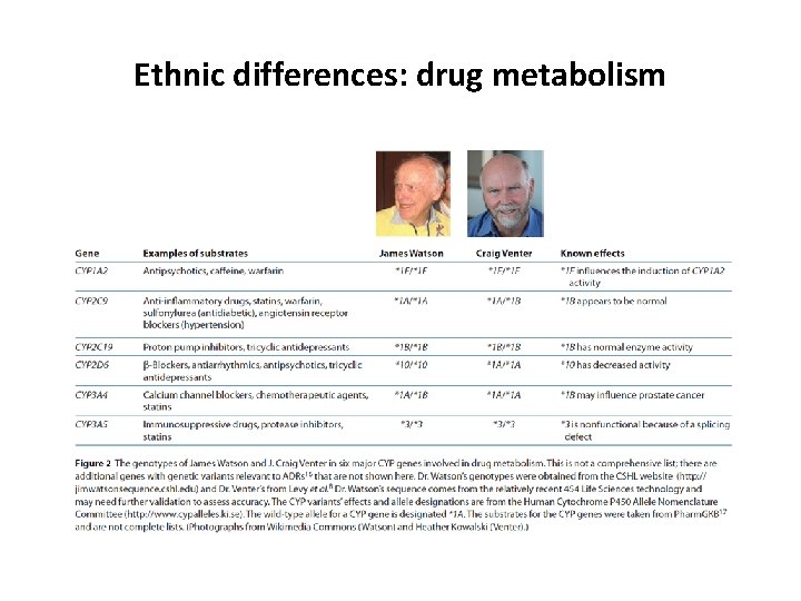 Ethnic differences: drug metabolism 
