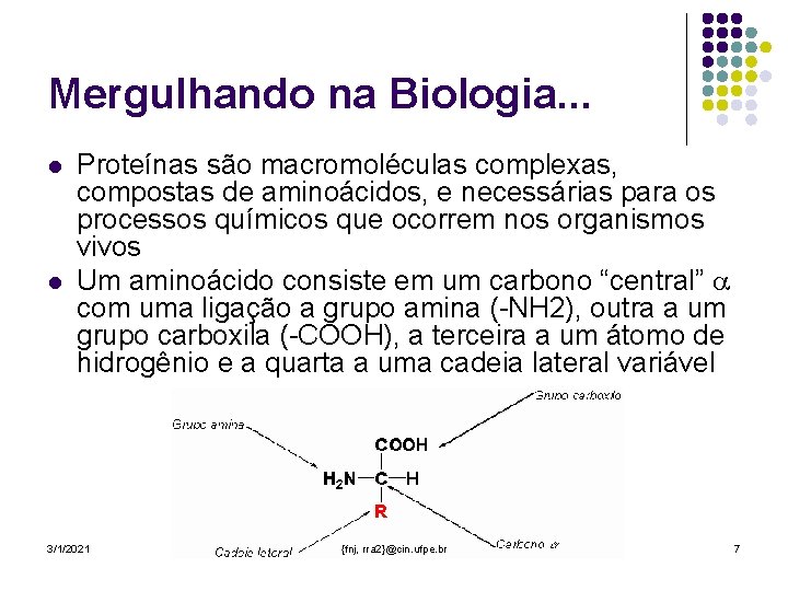 Mergulhando na Biologia. . . l l Proteínas são macromoléculas complexas, compostas de aminoácidos,