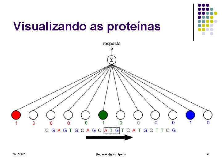 Visualizando as proteínas 3/1/2021 {fnj, rra 2}@cin. ufpe. br 9 