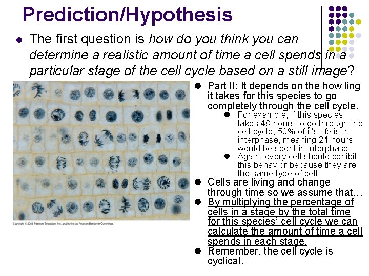 Prediction/Hypothesis l The first question is how do you think you can determine a