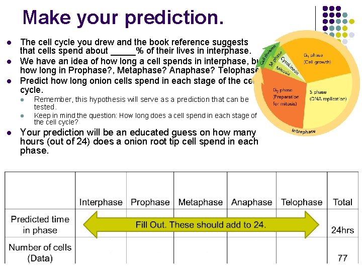 Make your prediction. l l The cell cycle you drew and the book reference