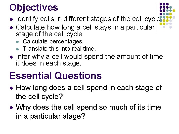 Objectives l l Identify cells in different stages of the cell cycle. Calculate how