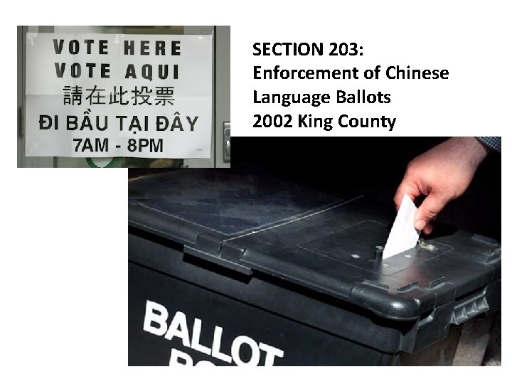 SECTION 203: Enforcement of Chinese Language Ballots 2002 King County SECTION 203: Enforcement of Chinese Language Ballots 2002 King County