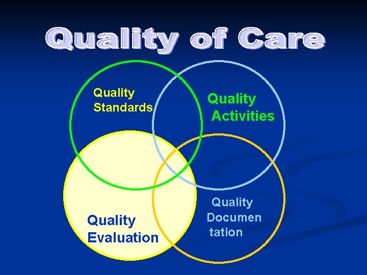 Quality Standards Quality Evaluation Quality Activities Quality Documen tation 