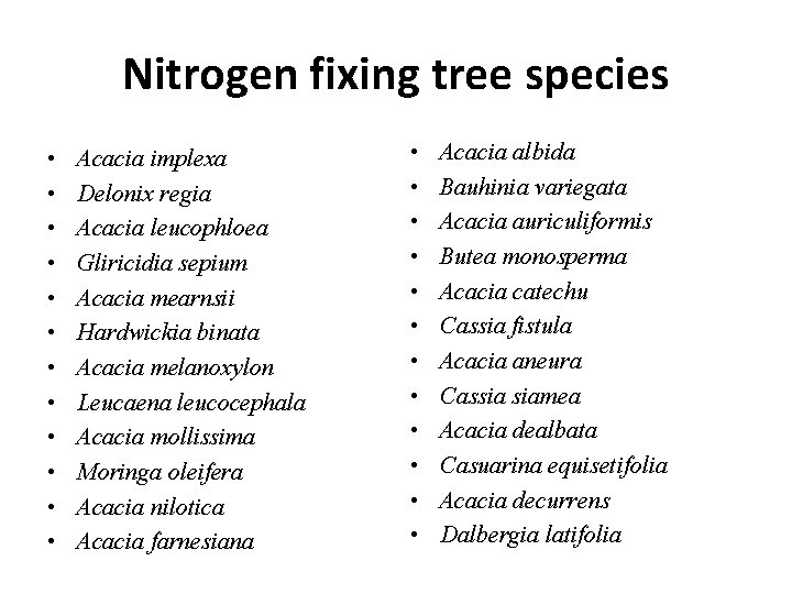 Nitrogen fixing tree species • • • Acacia implexa Delonix regia Acacia leucophloea Gliricidia