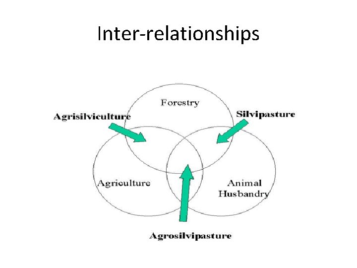 Inter-relationships 