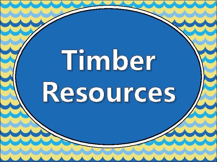 Timber Resources 