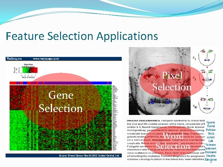 Feature Selection Applications Gene Selection Pixel Selection Word Selection Sports Travel Politics Tech Artist