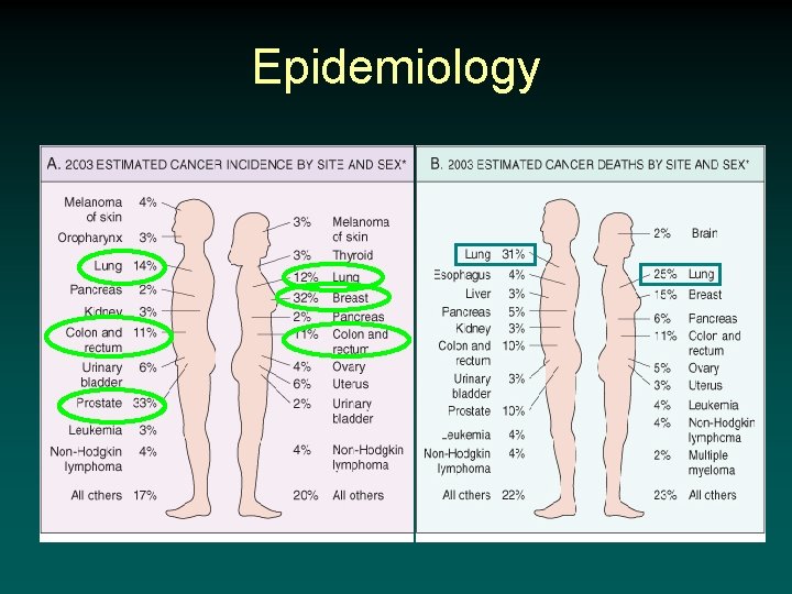 Epidemiology 