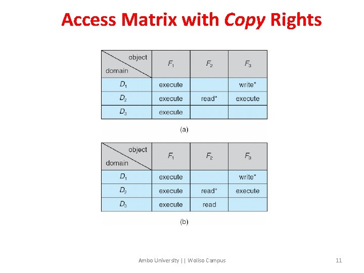Access Matrix with Copy Rights Ambo University || Woliso Campus 11 