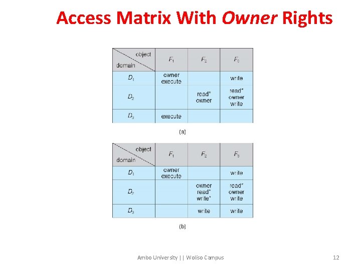 Access Matrix With Owner Rights Ambo University || Woliso Campus 12 