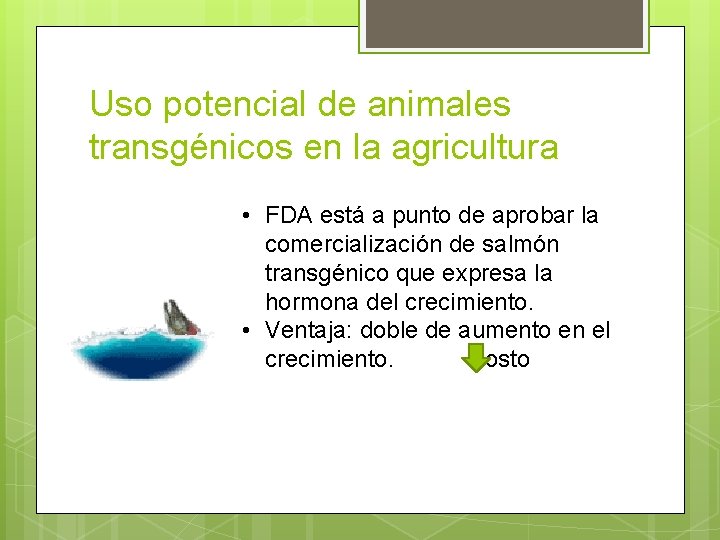 Uso potencial de animales transgénicos en la agricultura • FDA está a punto de