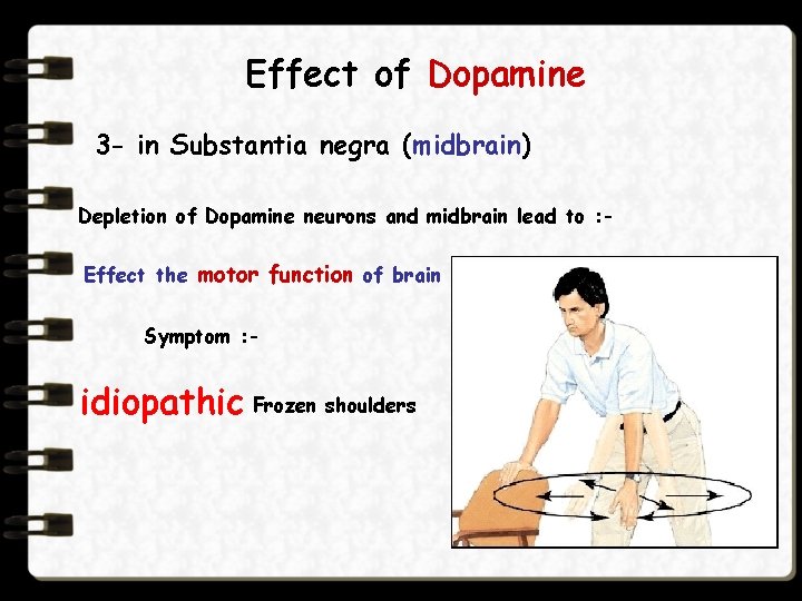 Effect of Dopamine 3 - in Substantia negra (midbrain) Depletion of Dopamine neurons and