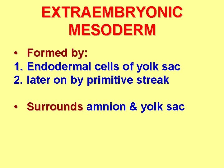 EXTRAEMBRYONIC MESODERM • Formed by: 1. Endodermal cells of yolk sac 2. later on